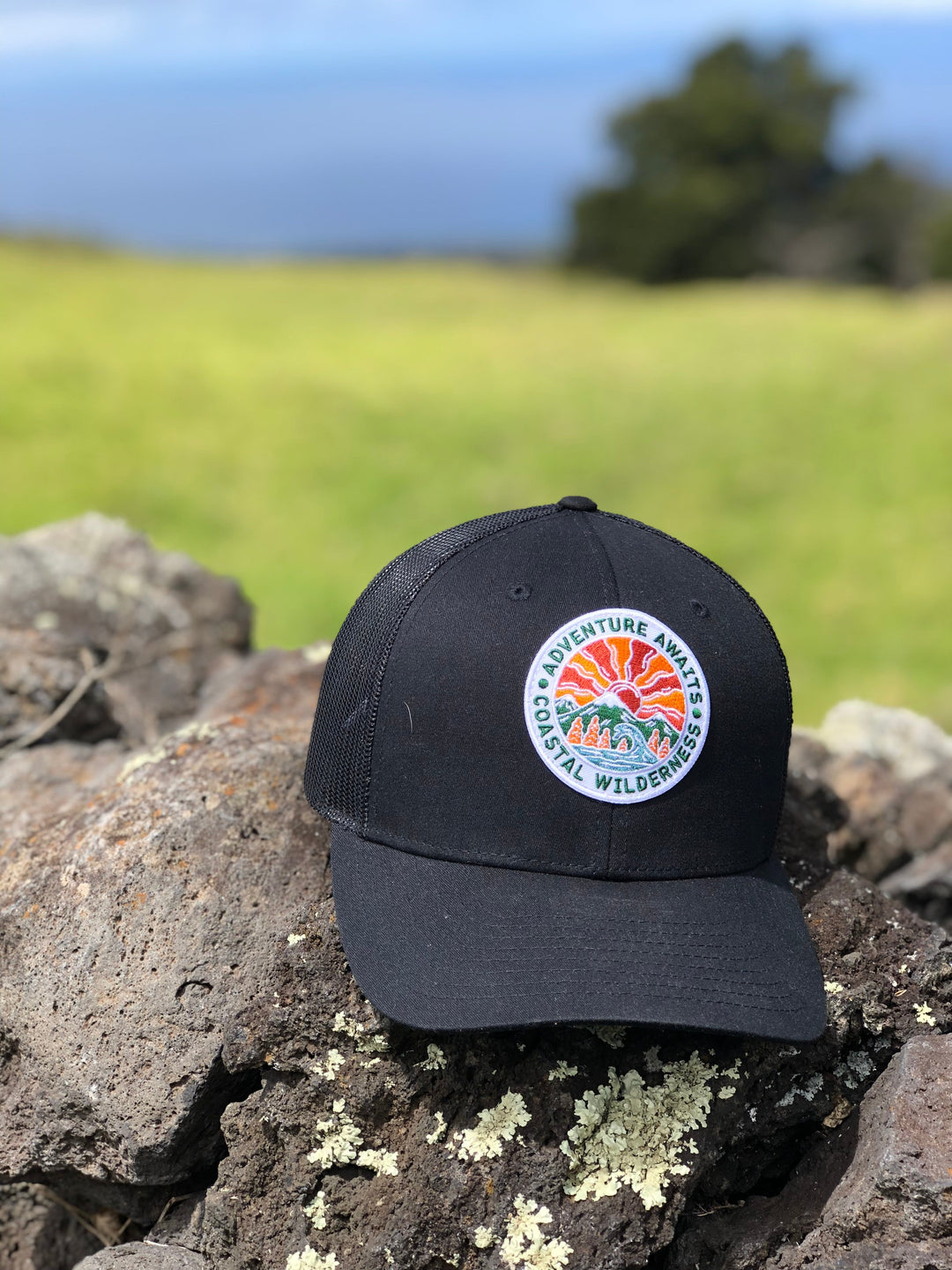 Shore Break Snapback